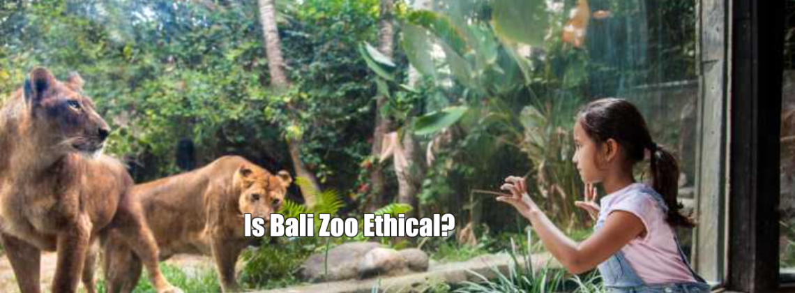 Is Bali Zoo Ethical?