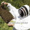 Is Beekeeping Reliable?