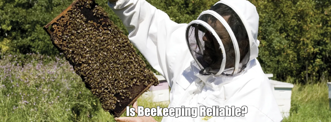 Is Beekeeping Reliable?