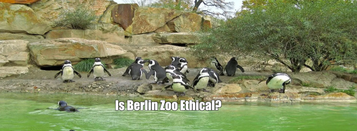 Is Berlin Zoo Ethical?