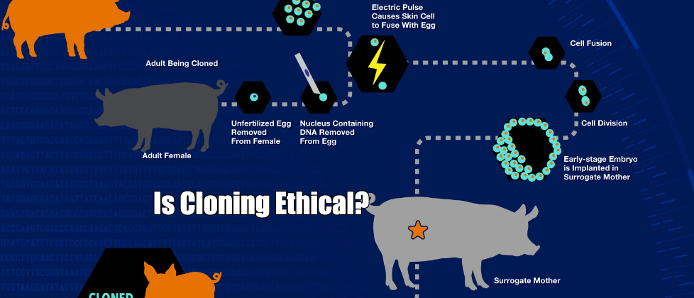 Is Cloning Ethical?