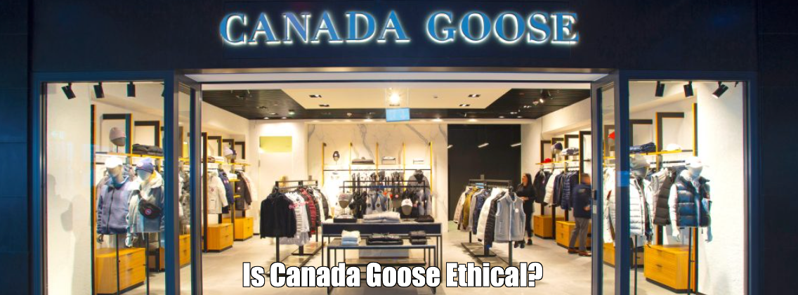 Is Canada Goose Ethical?