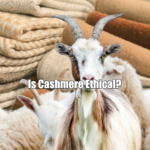 Is Cashmere Ethical?