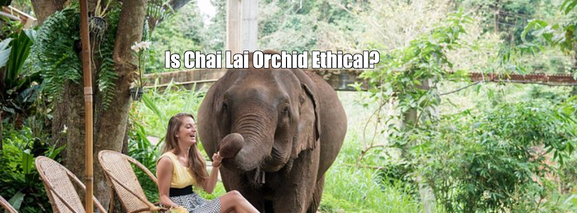 Is Chai Lai Orchid Ethical?