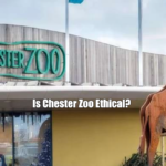 Is Chester Zoo Ethical?