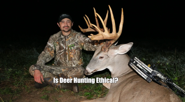 Is Deer Hunting Ethical?