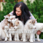 Is Dog Breeding Ethical?