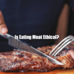 Is Eating Meat Ethical?